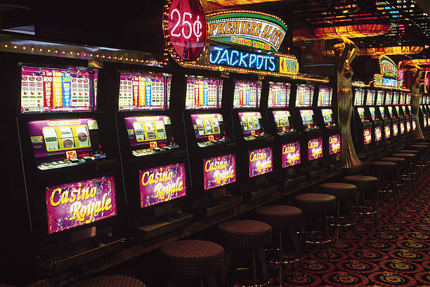 mako slot App mako slot App